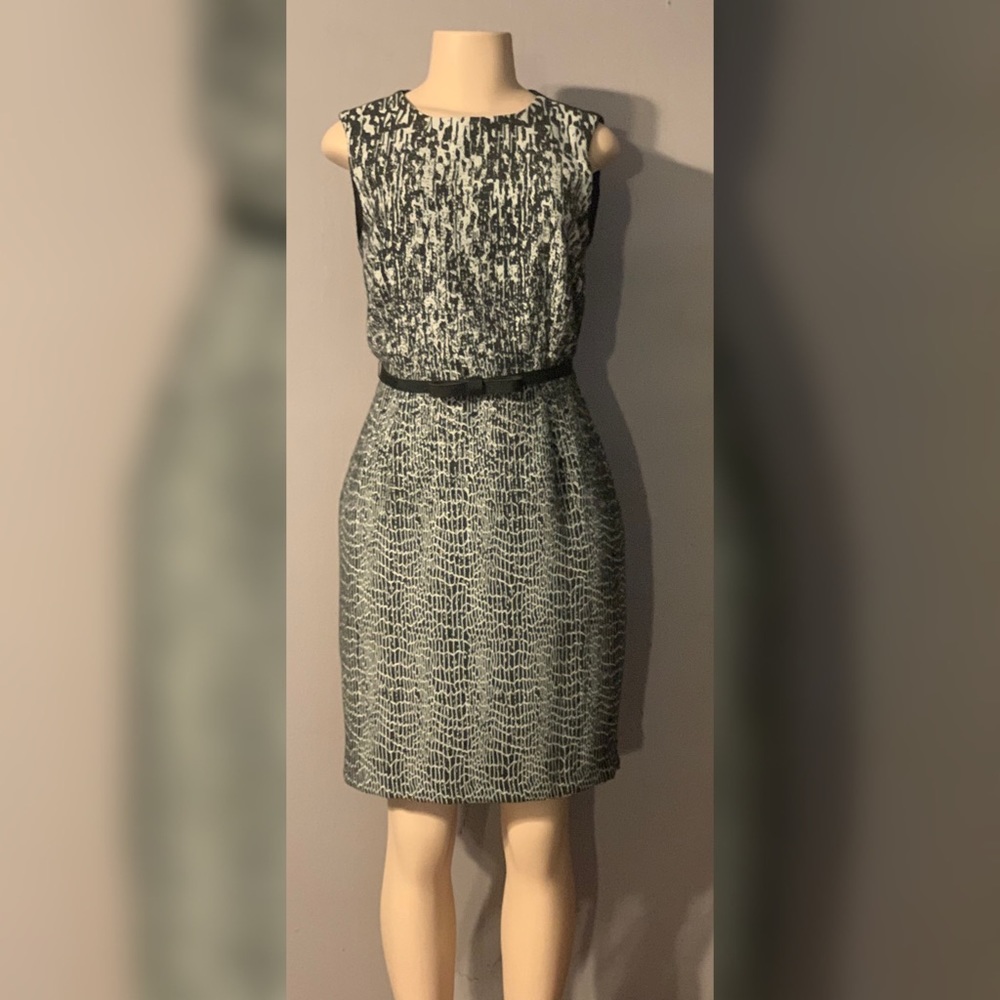 Taylor dress